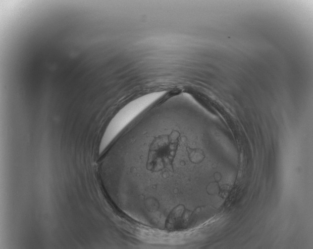 X0000068270048200605051826