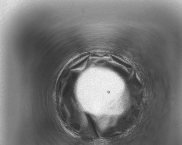 X0000068270050200605051825