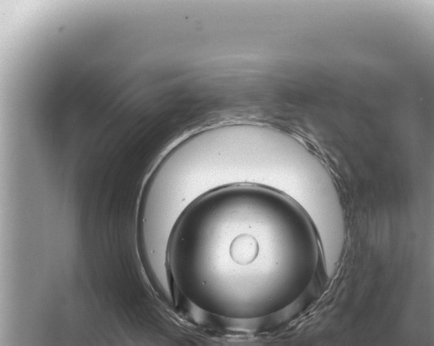 X0000068270052200605051825