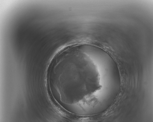 X0000068270054200605051825