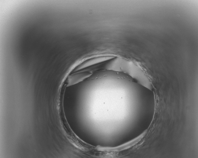 X0000068270056200605051825