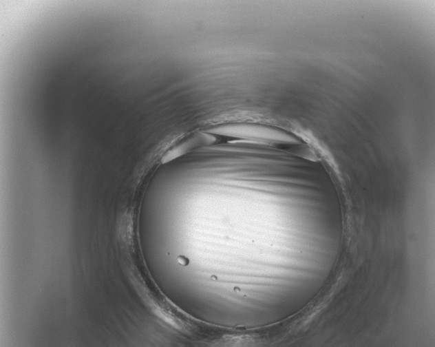 X0000068270057200605051825