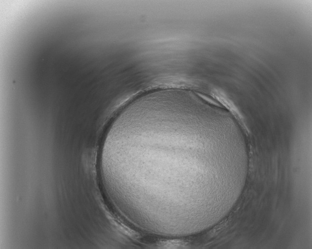 X0000068270058200605051825