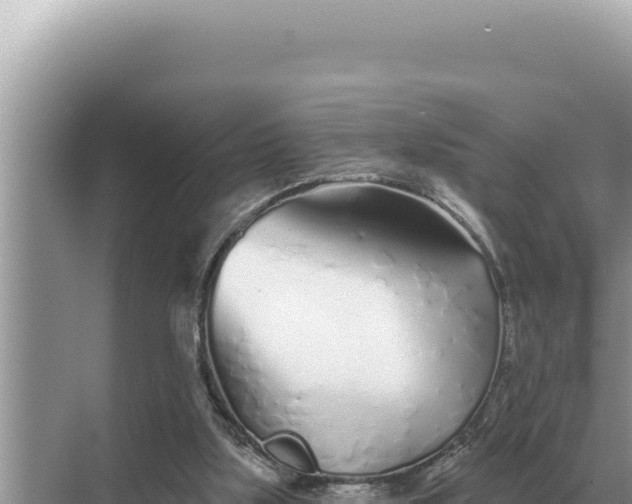 X0000068270059200605051825