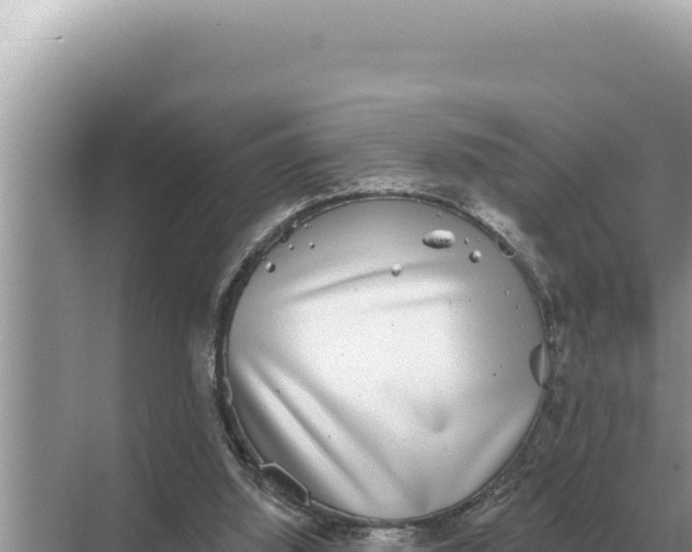 X0000068270060200605051825