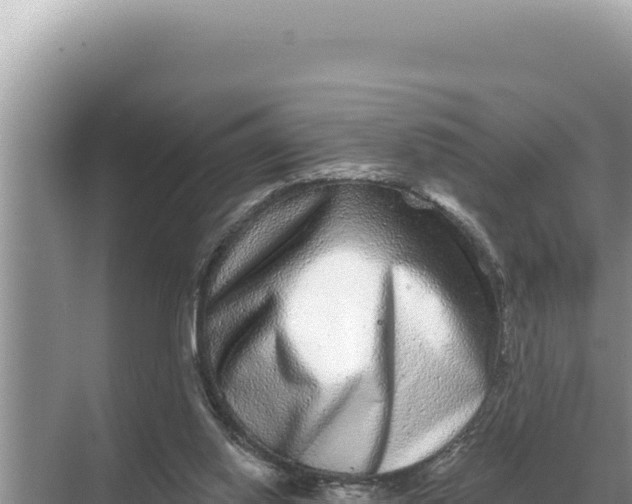 X0000068270062200605051826