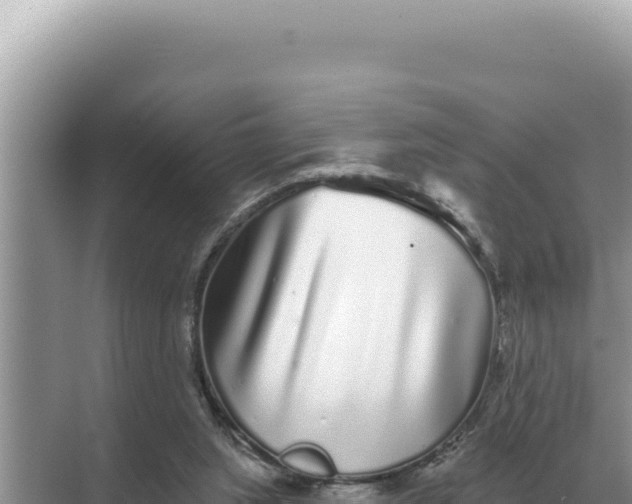 X0000068270063200605051826