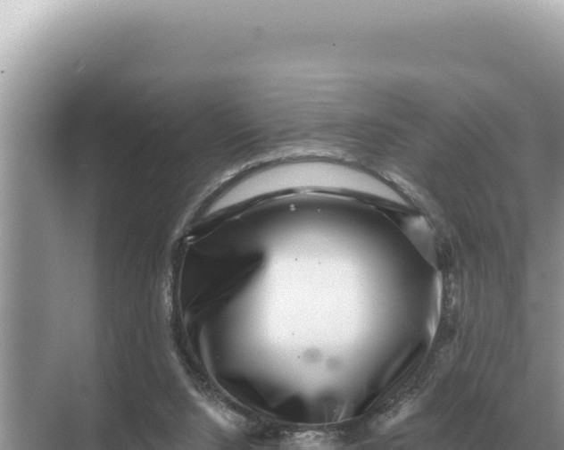 X0000068270064200605051826