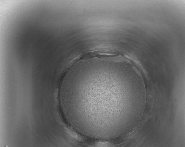 X0000068270066200605051826