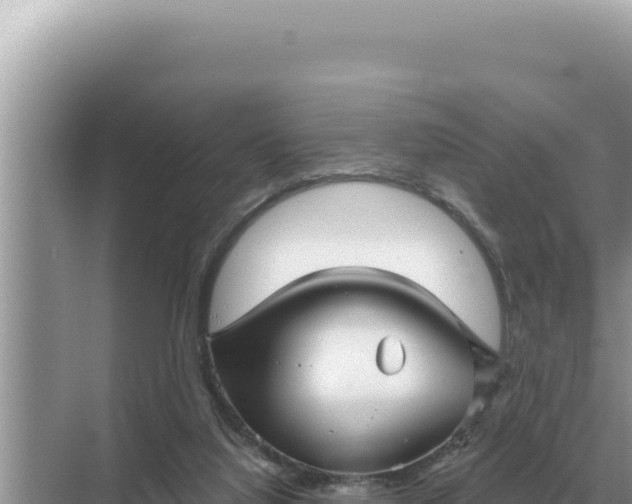 X0000068270068200605051826