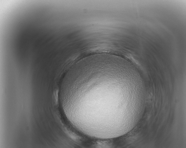 X0000068270070200605051826