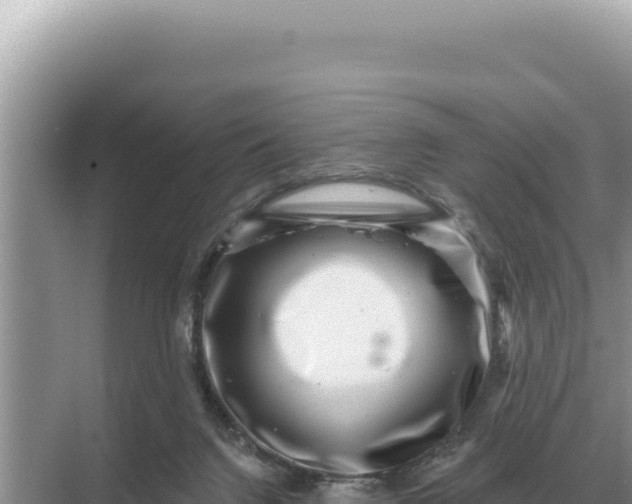 X0000068270072200605051826