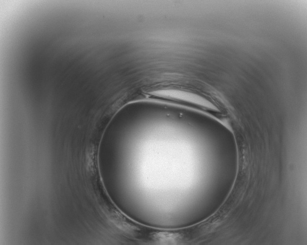 X0000068270073200605051826