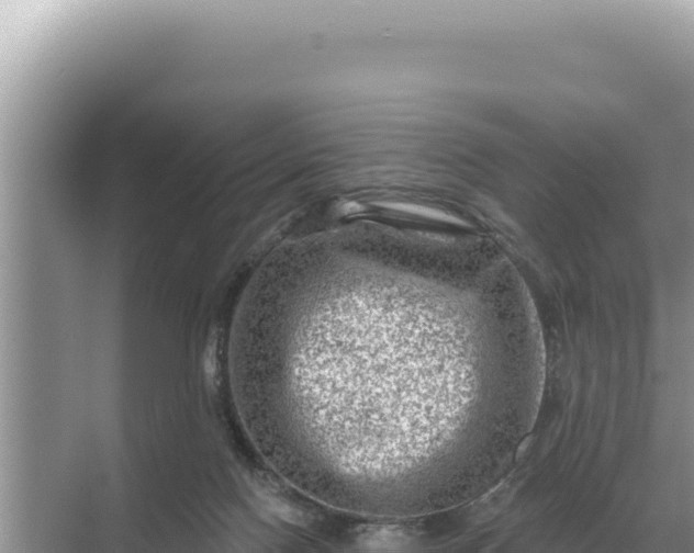 X0000068270074200605051826