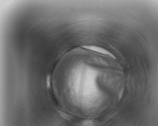 X0000068270075200605051826