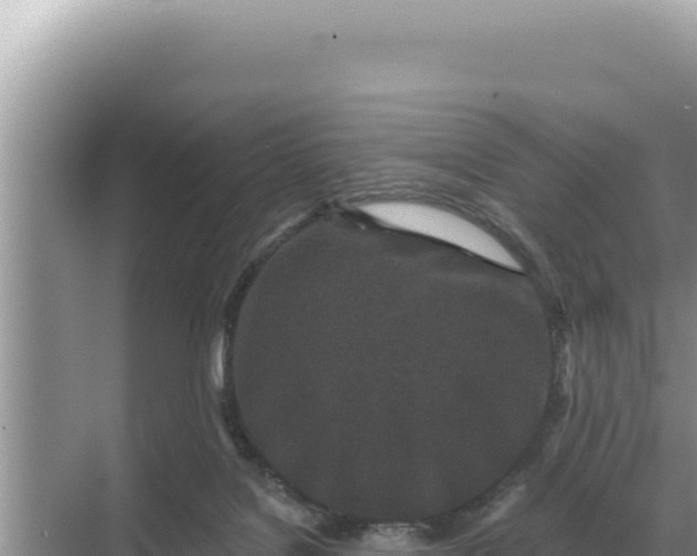 X0000068270076200605051826