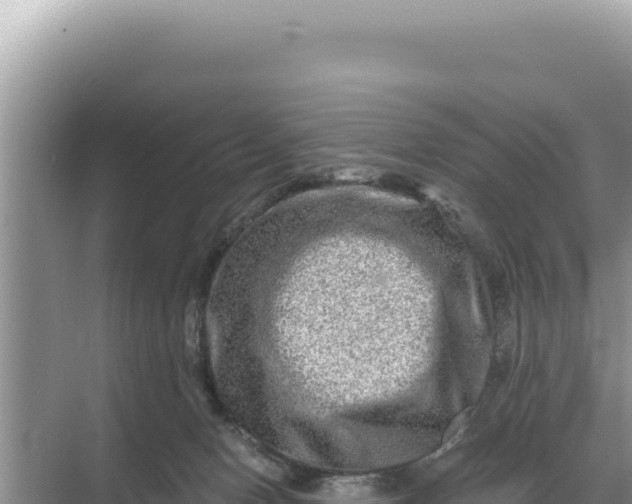 X0000068270078200605051826