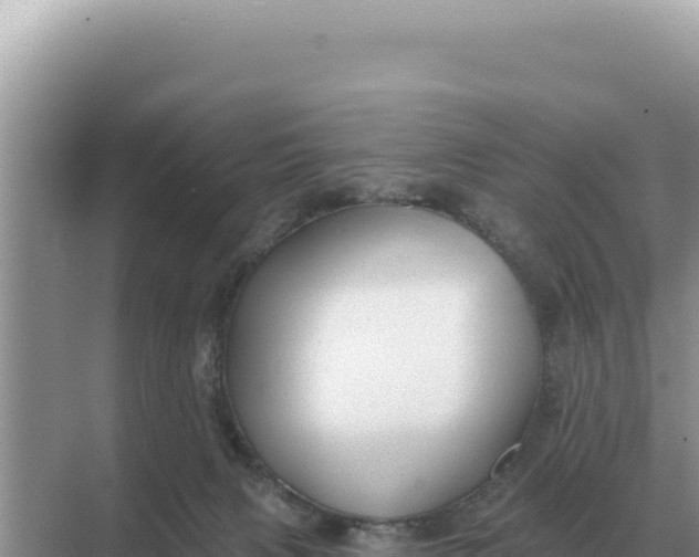 X0000068270079200605051826