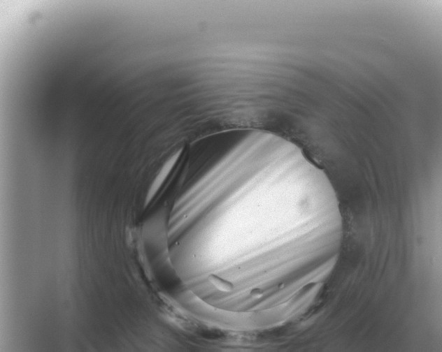 X0000068270080200605051826