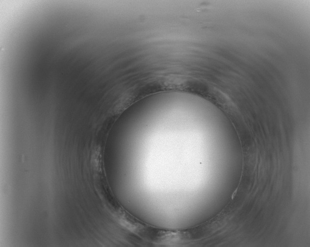 X0000068270083200605051826