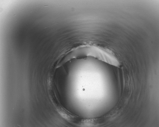 X0000068270084200605051826