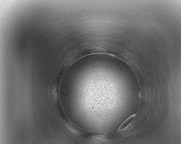 X0000068270086200605051826