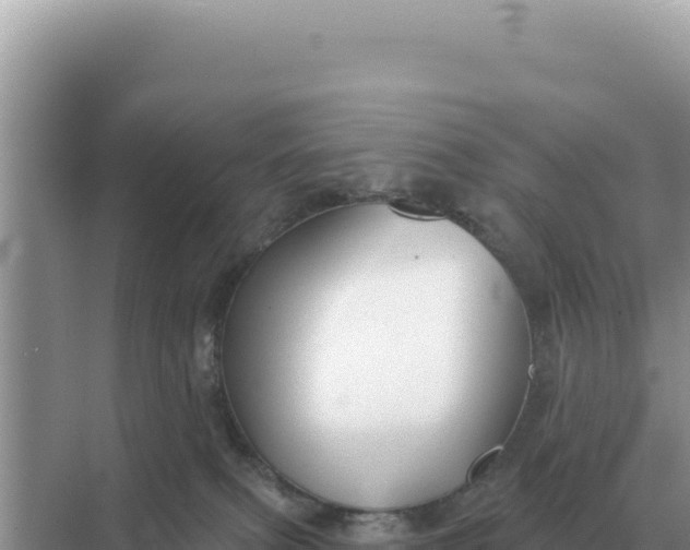 X0000068270087200605051826