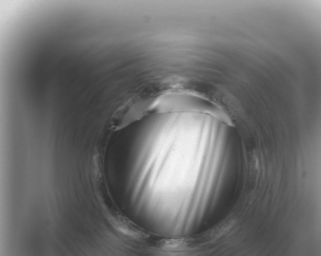 X0000068270088200605051826