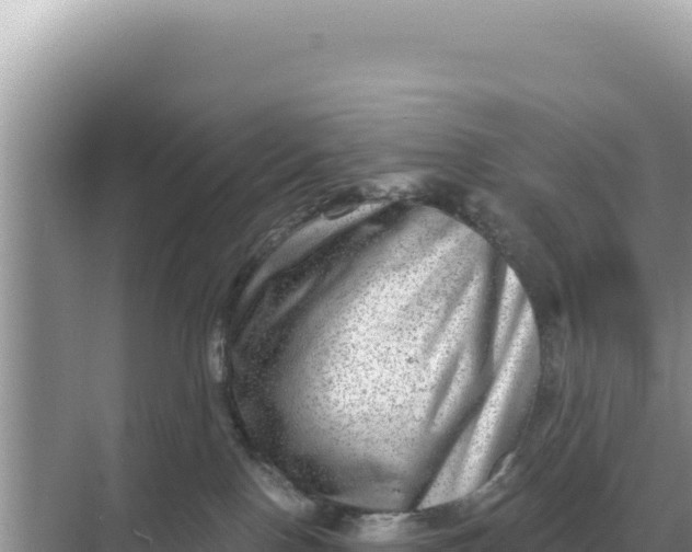 X0000068270090200605051826