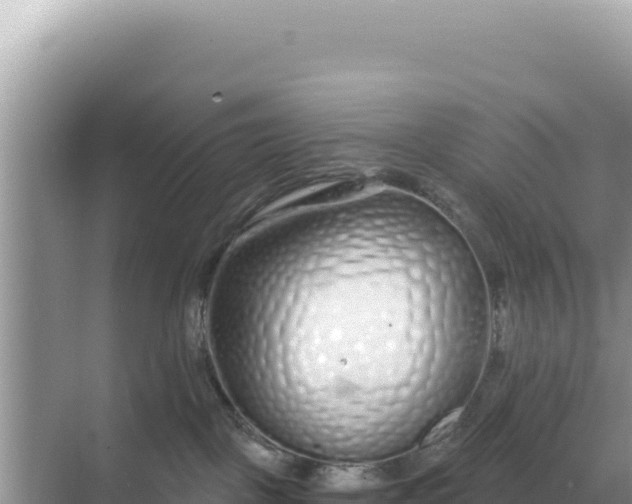 X0000068270093200605051826