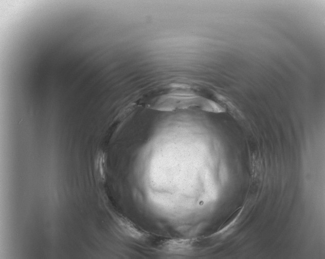 X0000068270094200605051826