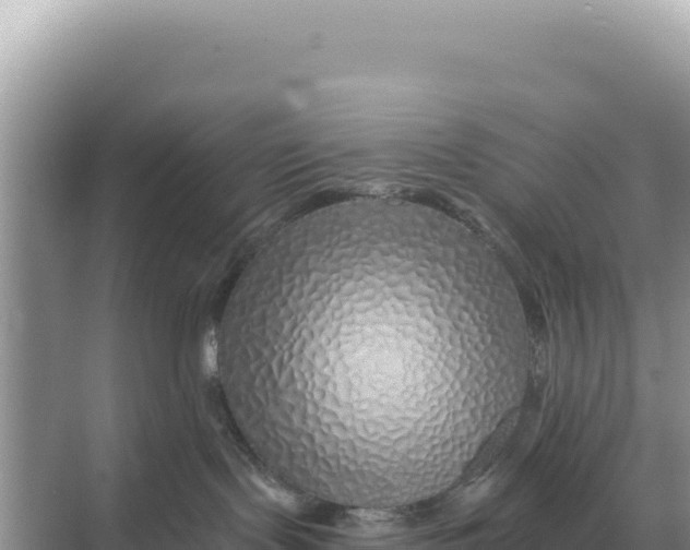 X0000068270095200605051826