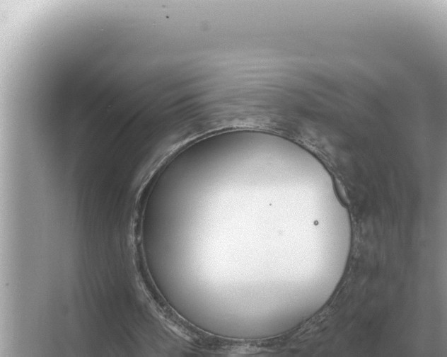 X0000068270098200605051825