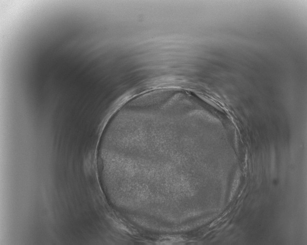 X0000068270099200605051825