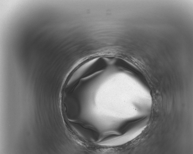 X0000068270100200605051825