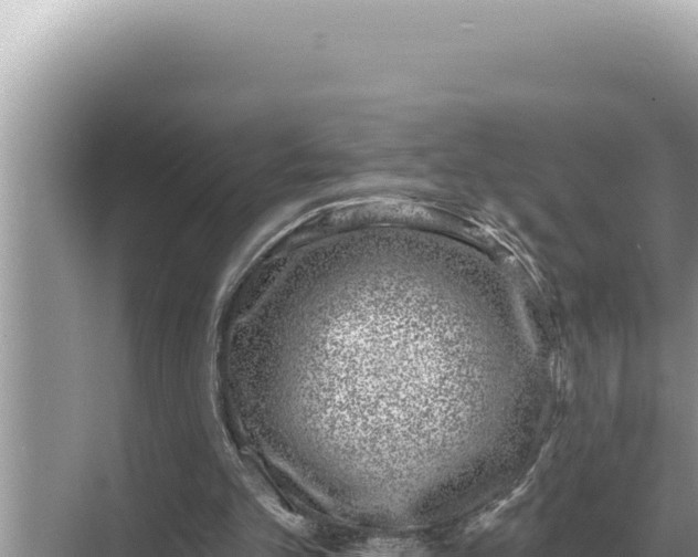 X0000068270101200605051825