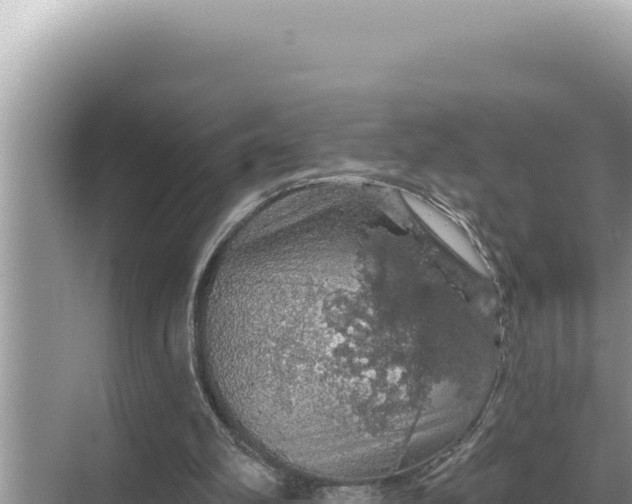 X0000068270102200605051825