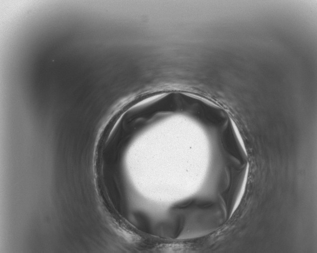 X0000068270104200605051825