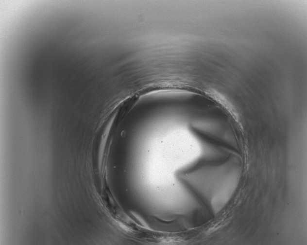 X0000068270105200605051825