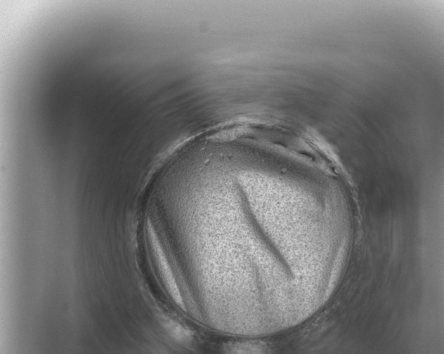 X0000068270106200605051825