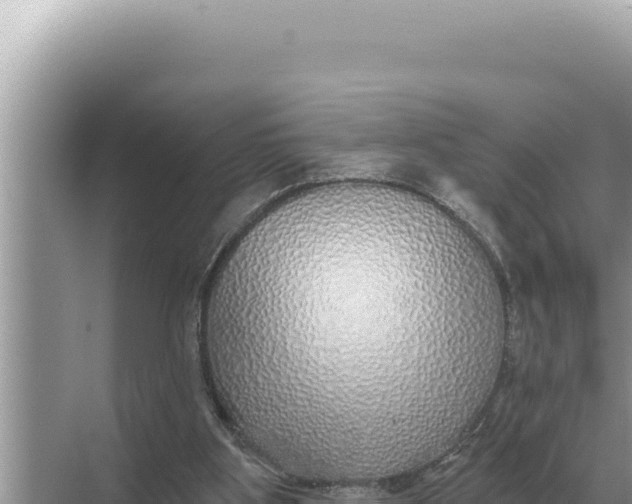 X0000068270107200605051825