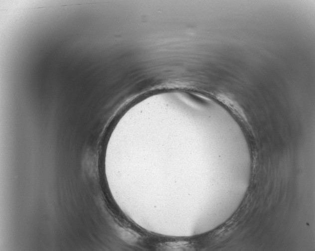 X0000068270108200605051825