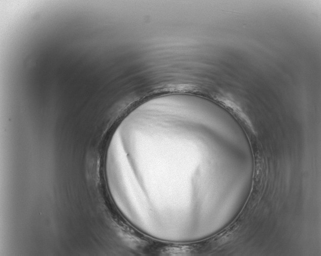 X0000068270110200605051825