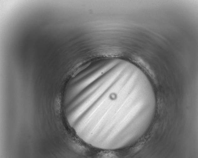 X0000068270113200605051825