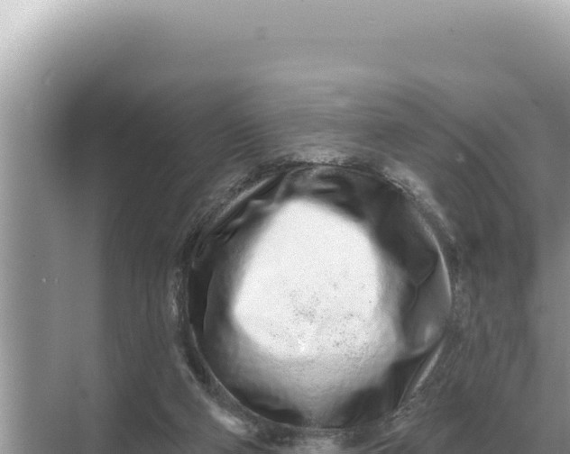 X0000068270114200605051825