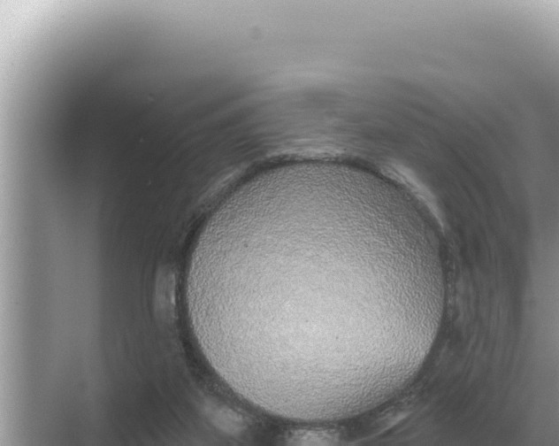 X0000068270115200605051825