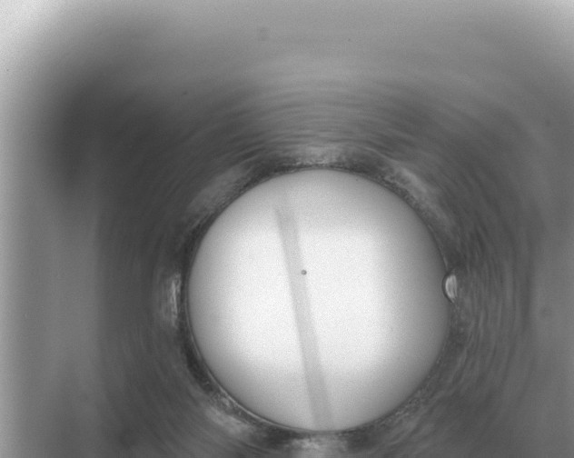 X0000068270118200605051825