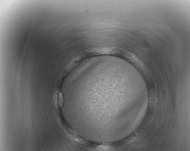 X0000068270119200605051825