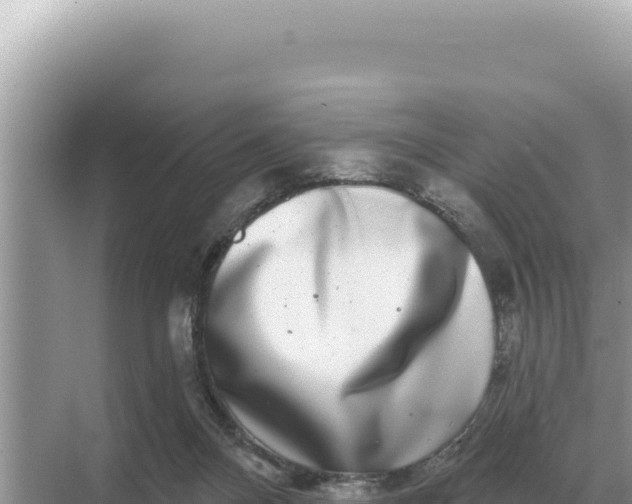 X0000068270120200605051825