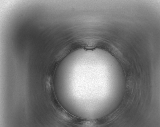 X0000068270122200605051825